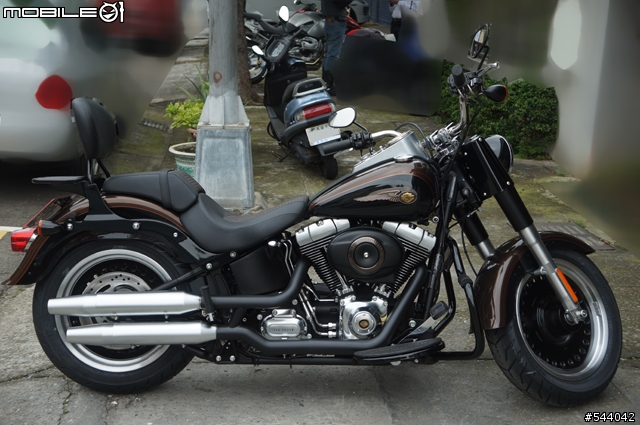 家中的新成員,2013 FATBOY Special