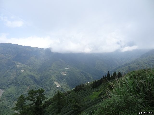 親子旅遊-雲鄉觀霧(上)