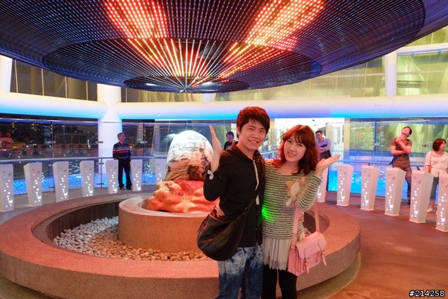 2013 Ford Focus 1.6 新竹油桐花試駕之旅心得分享~閃亮亮女神大露臉