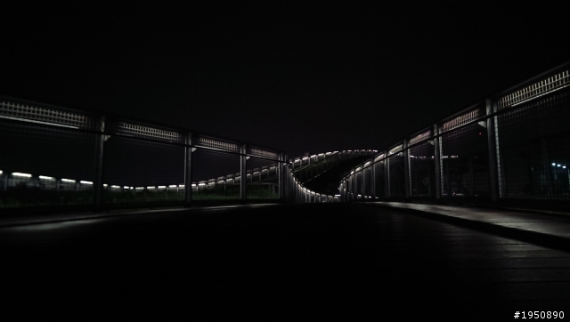 New one 夜拍分享
