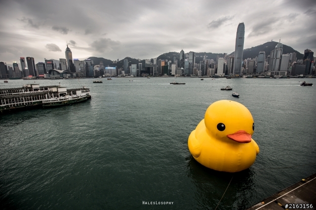 [分享]...分享一下Rubber Duck
