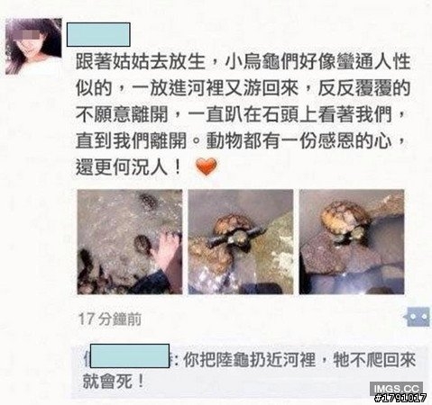 白目正妹亂放生