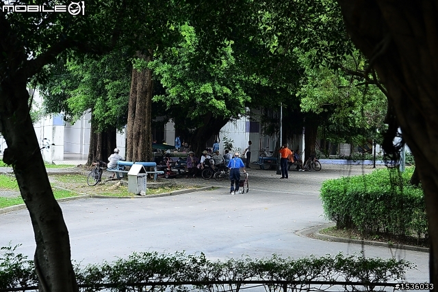 屏東市中山公園的松鼠吃香焦