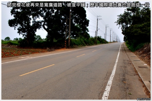 大肚山上短陡坡...鳥居路線!