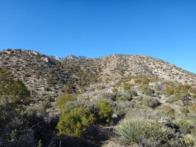 南加州cactus to clouds 由沙漠一路走到雪地3300公尺上升（1，2級路線）