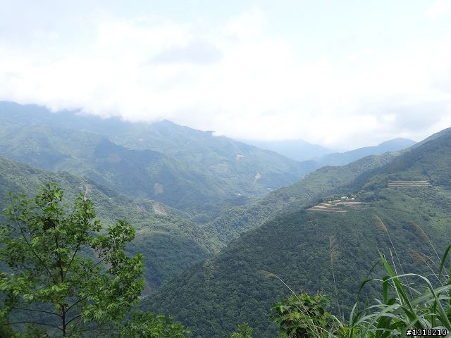 親子旅遊-雲鄉觀霧(上)