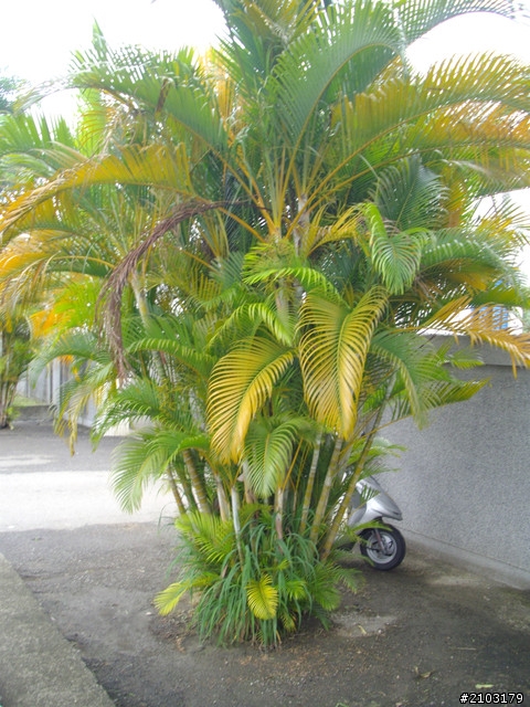 想麻煩各位前輩