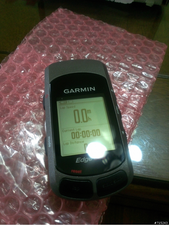 GARMINedge305送修揪感心