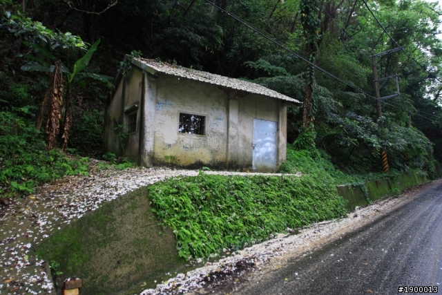 ♥2013 THE ALL-NEW FOCUS 24小時免費開回家~【油桐花坊 雙峰山 古坑賞螢 】試駕體驗