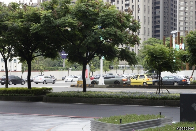 2013 Maserati Rally (圖多)