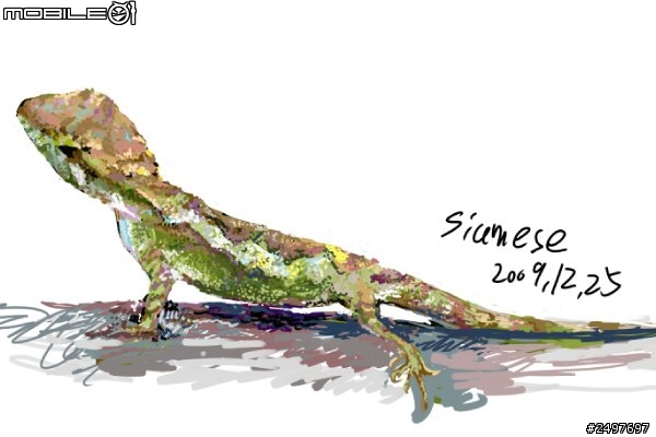 siameses寵物畫~