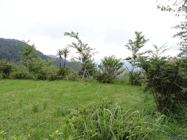 親子旅遊-雲鄉觀霧(上)