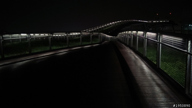 New one 夜拍分享
