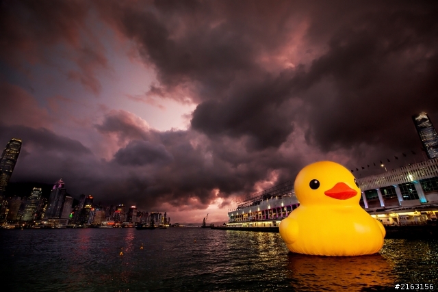 [分享]...分享一下Rubber Duck