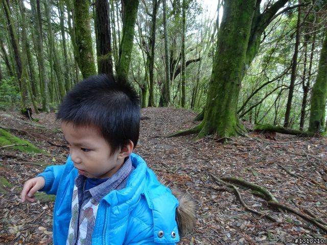 親子旅遊-雲鄉觀霧(上)