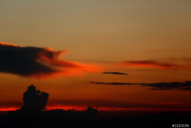 [分享]5D3拍的日落景, 地點在香港的大帽山, 有詳細說明上山的方法