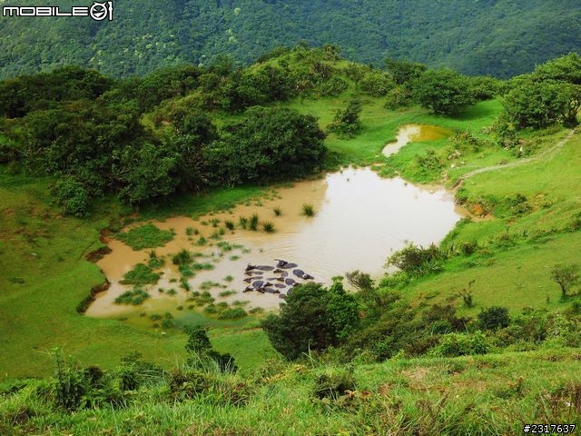 桃源谷草嶺古道環狀線
