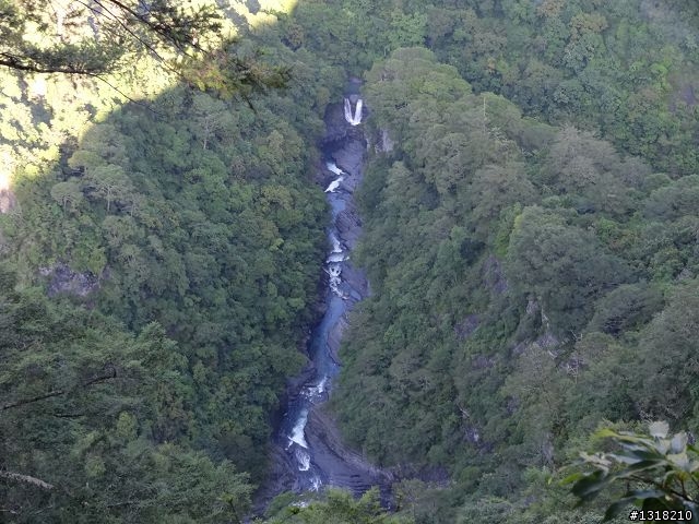 親子旅遊-司馬庫斯(下)