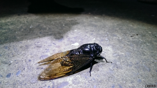 夜拍超感動