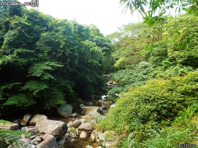 桃源谷草嶺古道環狀線