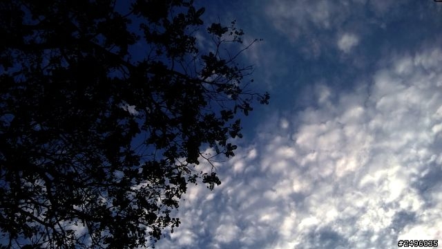 620照片樓(已修正圖檔~)