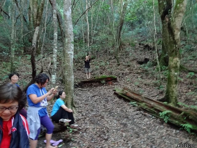 親子旅遊-司馬庫斯(下)
