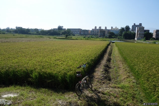 2013 南主場，郵局西濱公路102公里曬乾之旅，