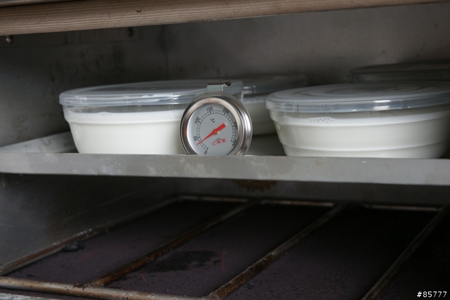 烤箱自製CBA優格(高溫菌)，可做到Greek優格質感