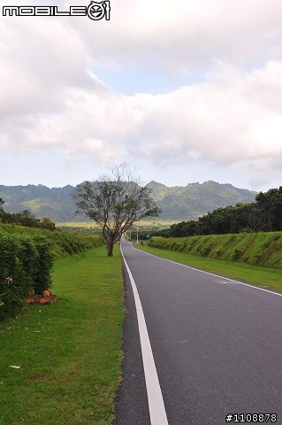 【環島遊記分享】追逐夢想‧熱汽球嘉年華