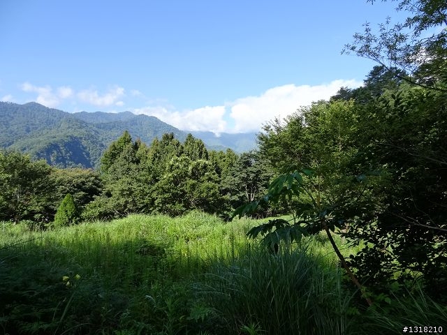 親子旅遊-司馬庫斯(下)