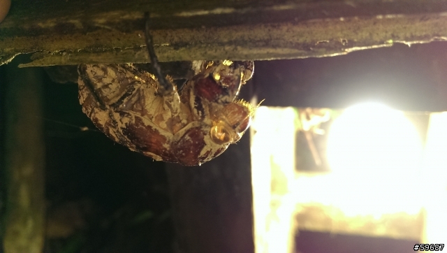 夜拍超感動