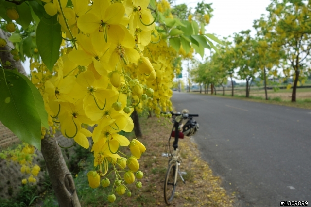 2013 夏至，尋訪嘉南水圳鐵馬道