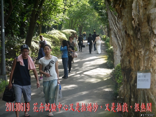 20130619 風櫃嘴縱走擎天崗之旅
