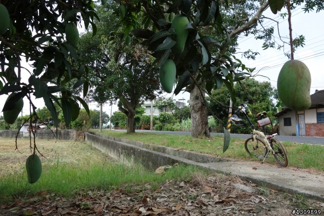 2013 夏至，尋訪嘉南水圳鐵馬道