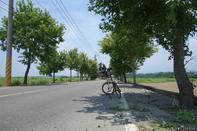 2013 夏至，尋訪嘉南水圳鐵馬道