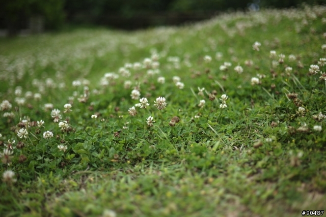Leica 21mm - 90mm