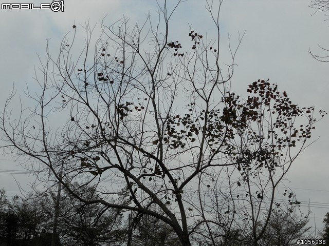 [野家3]離家200里顏氏牧場