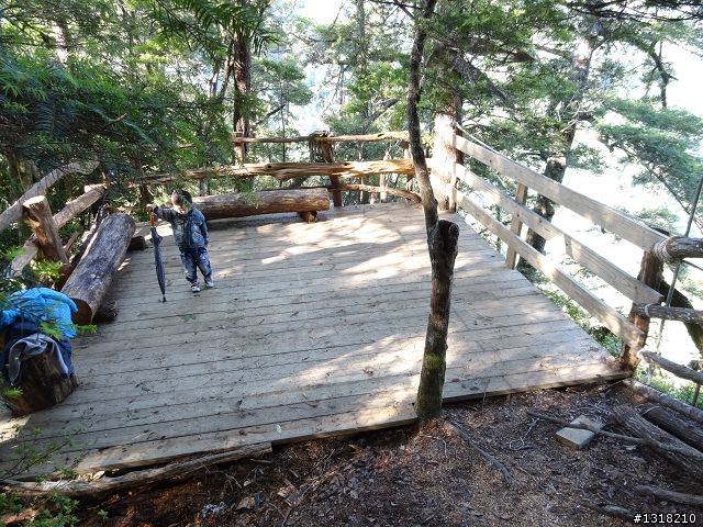 親子旅遊-司馬庫斯(下)