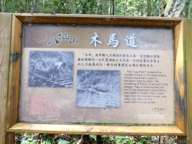 20130620初探谷關七雄之首～八仙山