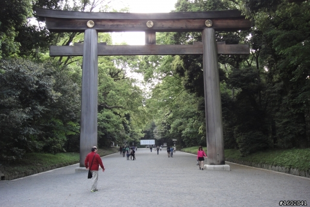 日本最大的木制《鳥居》來自台灣