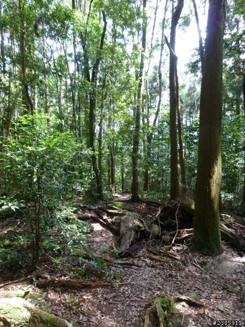 20130620初探谷關七雄之首～八仙山