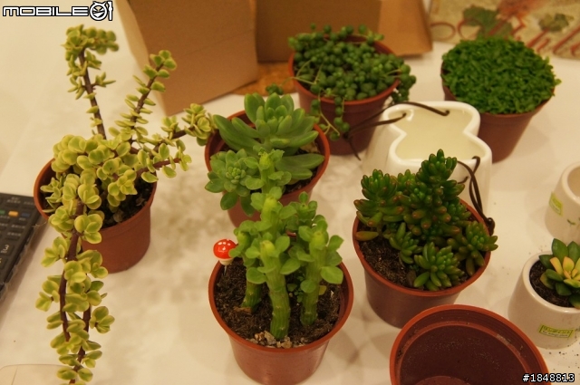 【開箱文】小天地系統櫃自助裝潢開箱^^~甜蜜分享~(圖多)補上玄關