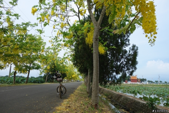 2013 夏至，尋訪嘉南水圳鐵馬道