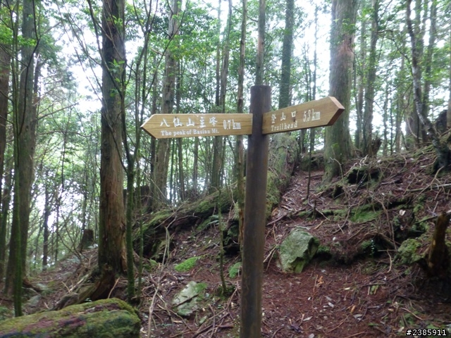 20130620初探谷關七雄之首～八仙山