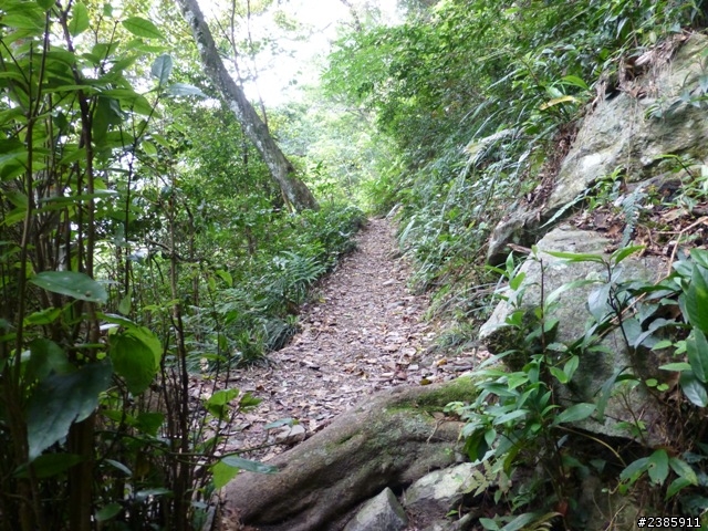 20130620初探谷關七雄之首～八仙山