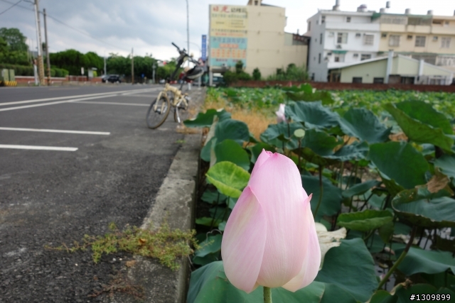 2013 夏至，尋訪嘉南水圳鐵馬道