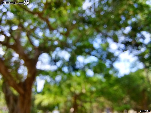 小米2S隨手拍蓋大樓
