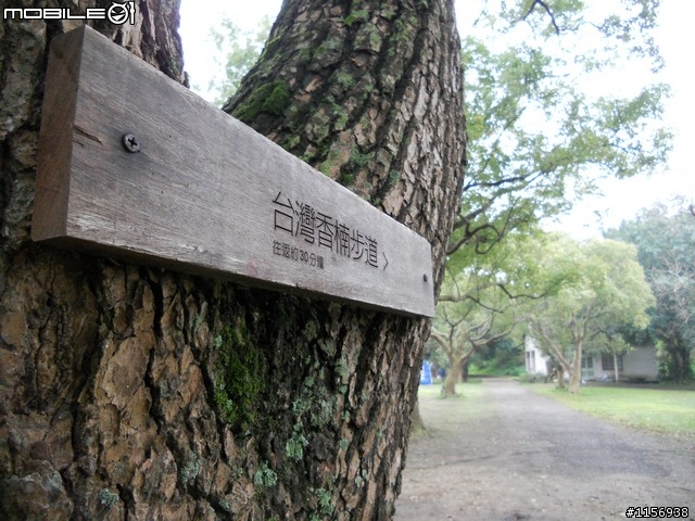 [野家3]離家200里顏氏牧場
