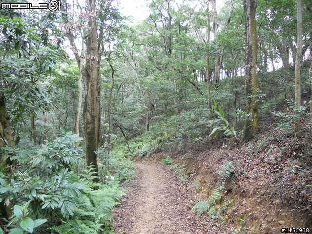[野家3]離家200里顏氏牧場
