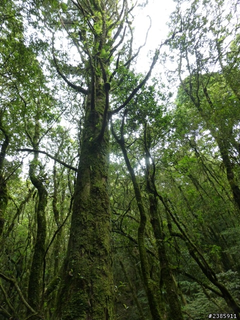 20130620初探谷關七雄之首～八仙山